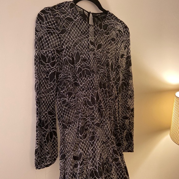 Brand new ZARA sheer dress (no tags) - Picture 2 of 4